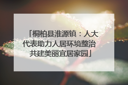 桐柏县淮源镇：人大代表助力人居环境整治 共建美丽宜居家园
