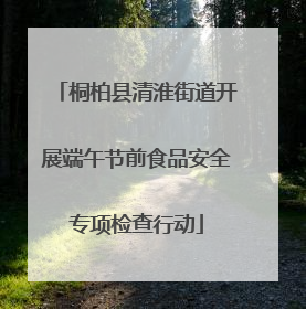 桐柏县清淮街道开展端午节前食品安全专项检查行动