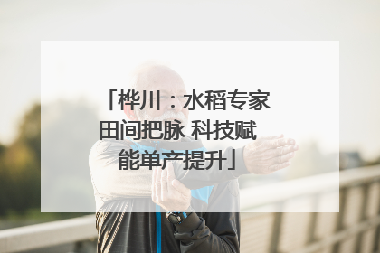桦川:水稻专家田间把脉 科技赋能单产提升