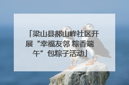梁山县郝山峰社区开展“幸福友邻 粽香端午”包粽子活动