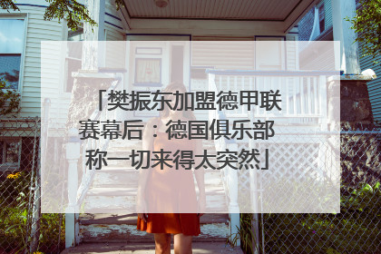樊振东加盟德甲联赛幕后：德国俱乐部称一切来得太突然