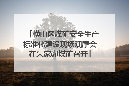 横山区煤矿安全生产标准化建设现场观摩会在朱家峁煤矿召开
