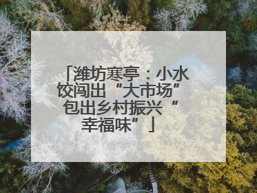 潍坊寒亭：小水饺闯出“大市场” 包出乡村振兴“幸福味”