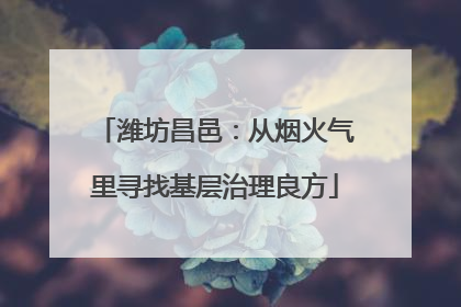潍坊昌邑：从烟火气里寻找基层治理良方