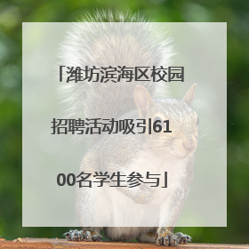 潍坊滨海区校园招聘活动吸引6100名学生参与