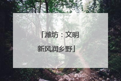 潍坊：文明新风润乡野