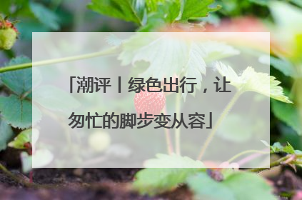 潮评丨绿色出行，让匆忙的脚步变从容