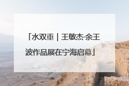 水双重｜王敏杰·余王波作品展在宁海启幕