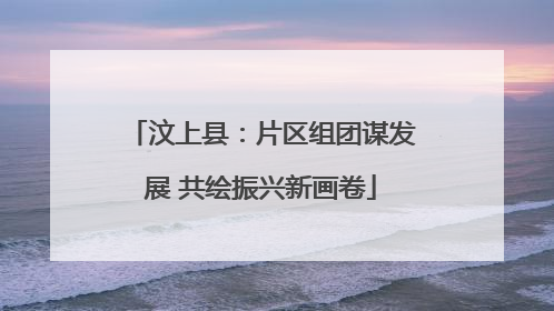汶上县：片区组团谋发展 共绘振兴新画卷