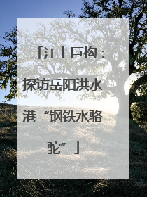 江上巨构：探访岳阳洪水港“钢铁水骆驼”