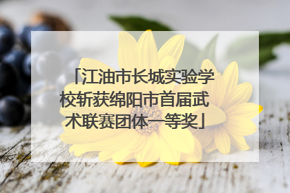 江油市长城实验学校斩获绵阳市首届武术联赛团体一等奖