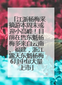 江浙杨梅采摘游本周末或迎小高峰！目前在售东魁杨梅多来自云南、福建，浙江露天东魁杨梅6月中旬大量上市