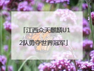 江西众天麒麟U12队勇夺世界冠军
