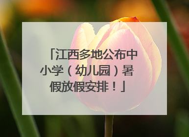 江西多地公布中小学（幼儿园）暑假放假安排！