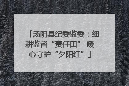 汤阴县纪委监委：细耕监督“责任田” 暖心守护“夕阳红”