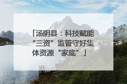 汤阴县：科技赋能“三资”监管守好集体资源“家底”