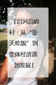 沿河高峰村：从“靠天吃饭”到集体经济蓬勃发展
