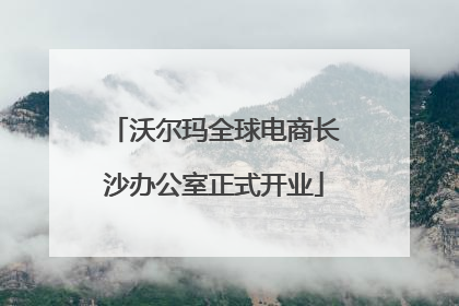 沃尔玛全球电商长沙办公室正式开业