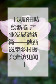 沃野田畴绘新卷 产业发展谱新篇——陕西岚皋乡村振兴走访见闻