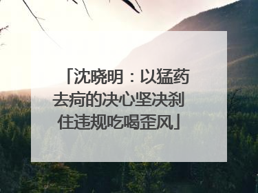 沈晓明：以猛药去疴的决心坚决刹住违规吃喝歪风