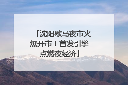 沈阳歇马夜市火爆开市！首发引擎点燃夜经济