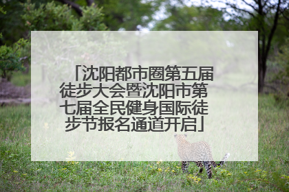 沈阳都市圈第五届徒步大会暨沈阳市第七届全民健身国际徒步节报名通道开启