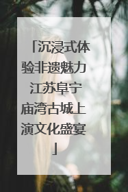 沉浸式体验非遗魅力 江苏阜宁庙湾古城上演文化盛宴