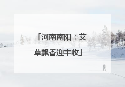 河南南阳：艾草飘香迎丰收