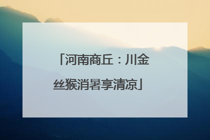 河南商丘：川金丝猴消暑享清凉