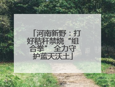 河南新野：打好秸秆禁烧“组合拳” 全力守护蓝天沃土