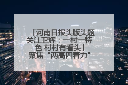 河南日报头版头题关注卫辉：一村一特色 村村有看头 ︳聚焦“两高四着力”·一“县”观察