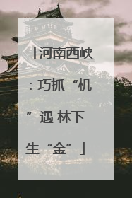 河南西峡：巧抓“机”遇 林下生“金”