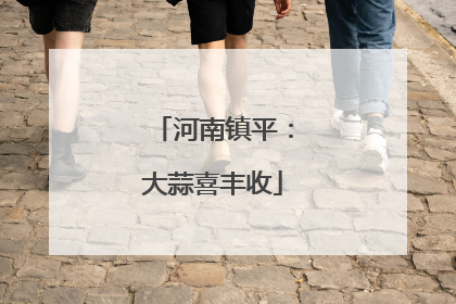 河南镇平：大蒜喜丰收