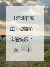 河北石家庄：动物萌宝的快乐“六一”