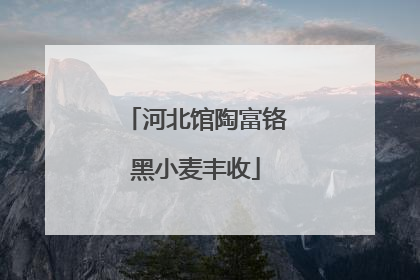 河北馆陶富铬黑小麦丰收