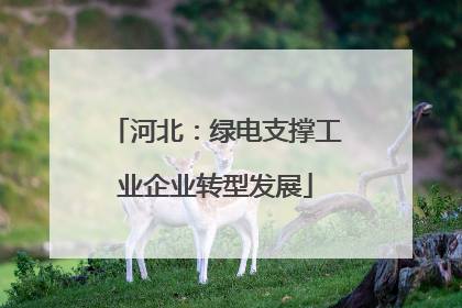 河北：绿电支撑工业企业转型发展