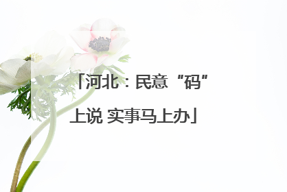 河北：民意“码”上说 实事马上办