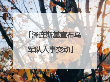 泽连斯基宣布乌军队人事变动