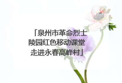 泉州市革命烈士陵园红色移动课堂走进永春高峰村