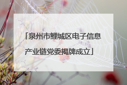 泉州市鲤城区电子信息产业链党委揭牌成立