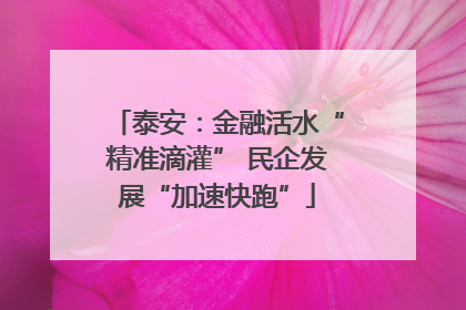 泰安：金融活水“精准滴灌” 民企发展“加速快跑”