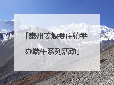 泰州姜堰娄庄镇举办端午系列活动