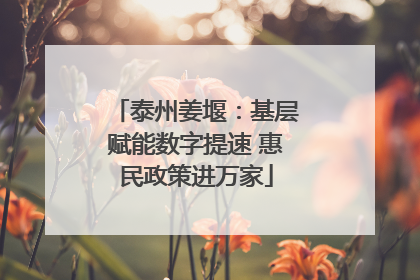 泰州姜堰：基层赋能数字提速 惠民政策进万家