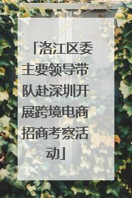 洛江区委主要领导带队赴深圳开展跨境电商招商考察活动