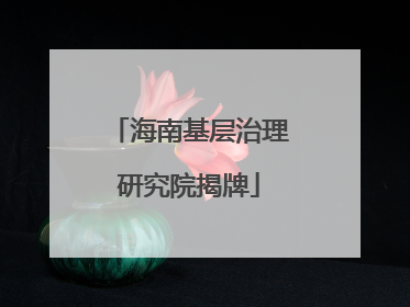 海南基层治理研究院揭牌