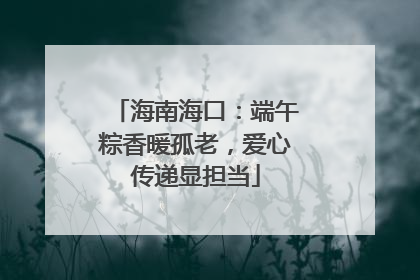 海南海口：端午粽香暖孤老，爱心传递显担当