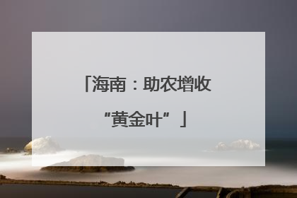 海南：助农增收 “黄金叶”