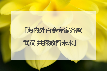 海内外百余专家齐聚武汉 共探数智未来