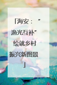 海安：“渔光互补” 绘就乡村振兴新图景