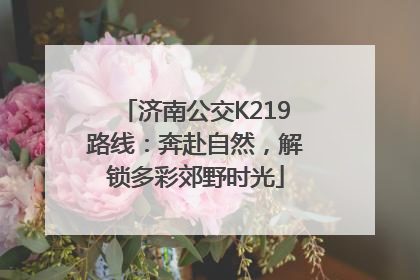 济南公交K219路线：奔赴自然，解锁多彩郊野时光